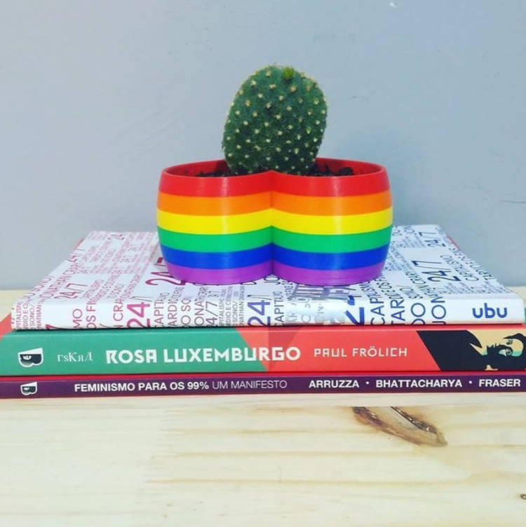 Vaso de suculenta nas cores da bandeira LGBTQIA+, com livros embaixo