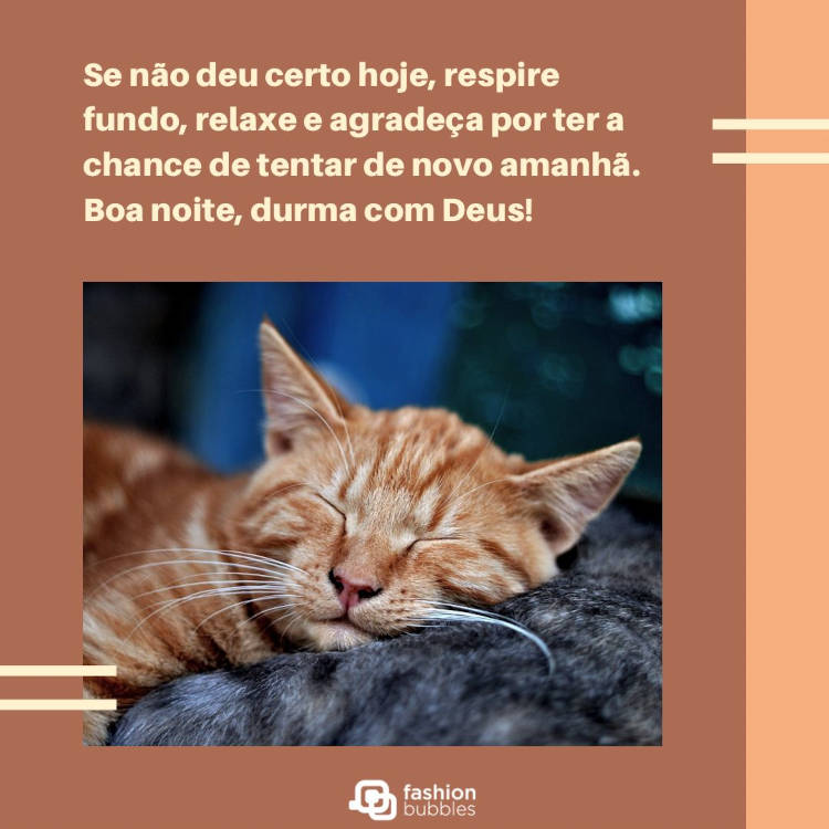 Foto de gato laranja dormindo sobre gato cinza em cartão virtual salmão, com frase "Se não deu certo hoje, respire fundo, relaxe e agradeça por ter a chance de tentar de novo amanhã. Boa noite, durma com Deus!"