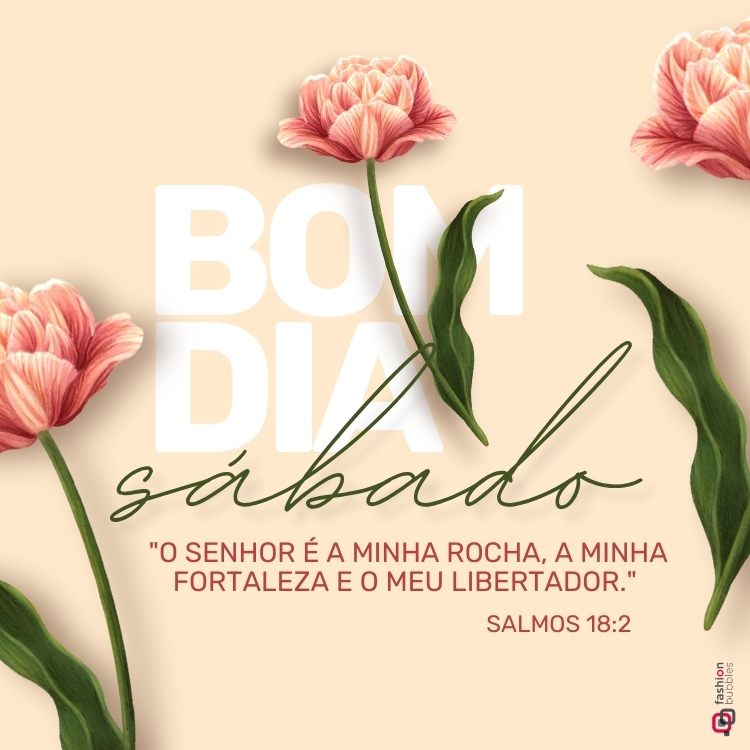 A imagem tem fundo bege com flores em tons de rosa e folhas verdes nos cantos. Centralizado, está escrito "BOM DIA" em branco e "sábado" em verde cursivo. Abaixo, o versículo: "O Senhor é a minha rocha..." - Salmos 18:2.