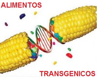 alimentos-transgenicos