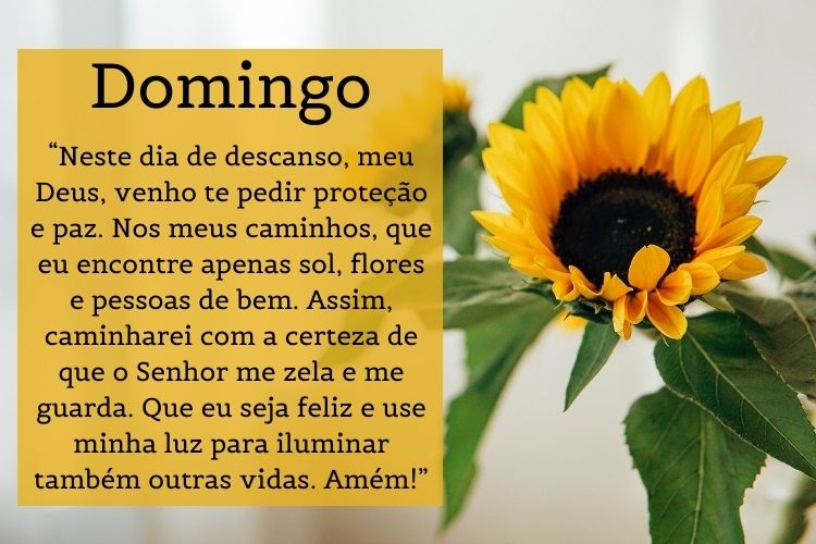 oração de bom dia com foto de buquê de girassol