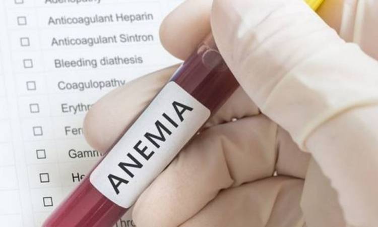 Tubo de sangue com diagnóstico de anemia.