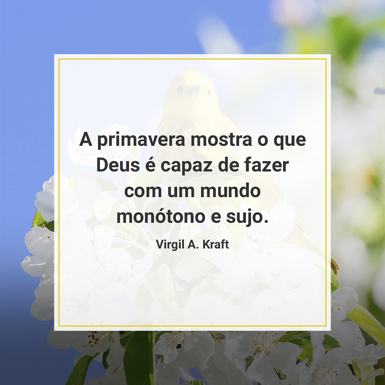 citação sobre a primavera em foto de flores