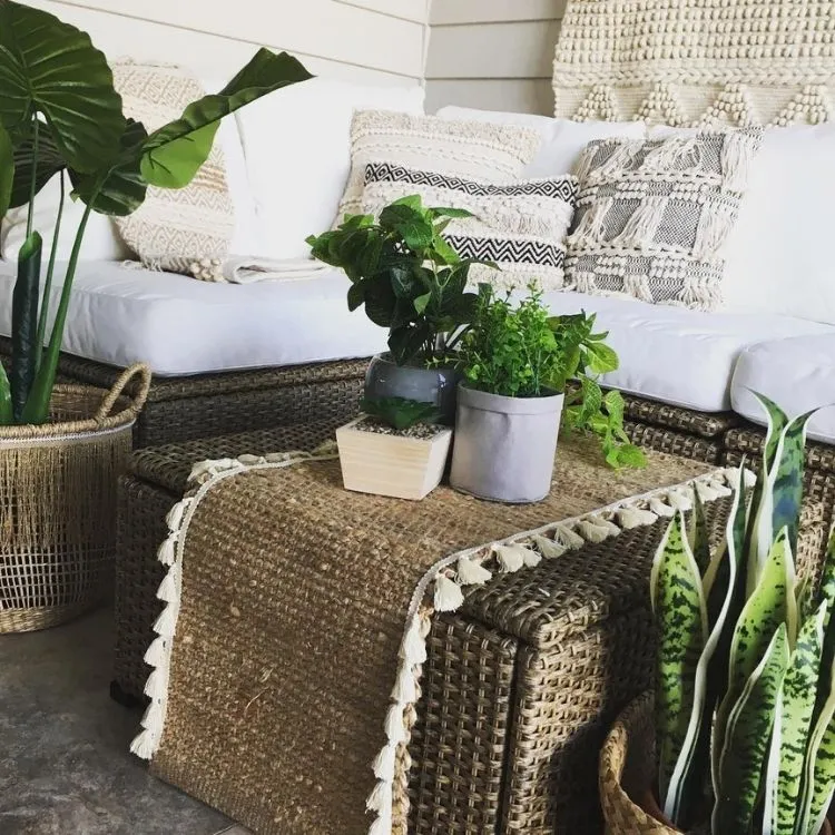 Um baú com plantas em cima e dos lados, atrás um sofá