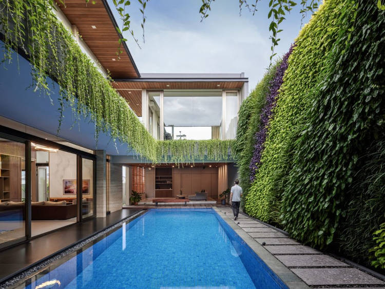 Muro alto com plantas.