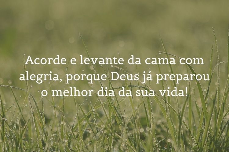 Foto de grama na chuva e frase: Acorde e levante da cama com alegria, porque Deus já preparou o melhor dia da sua vida!
