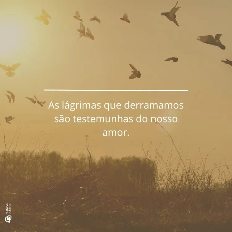 Cartão virtual com foto amarelada de campo com pássaros voando e frase "As lágrimas que derramamos são testemunhas do nosso amor."