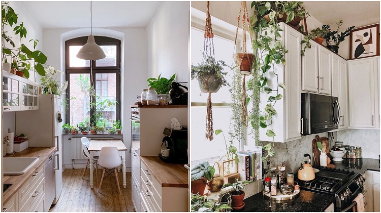 duas cozinhas com armários brancos e vasos de plantas e pendentes