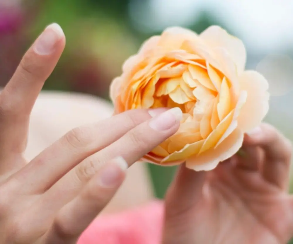 Dedos na flor.