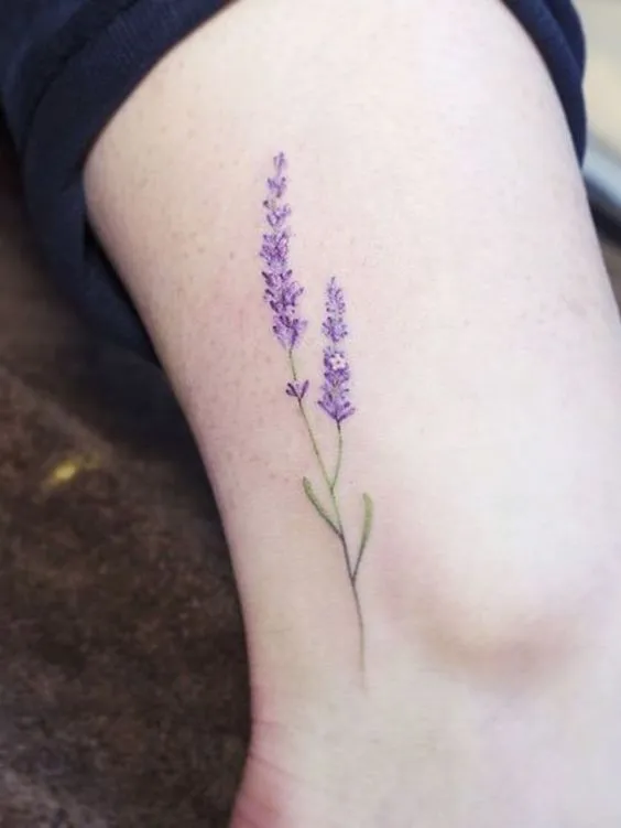Tatuagem de lavanda colorida no pé