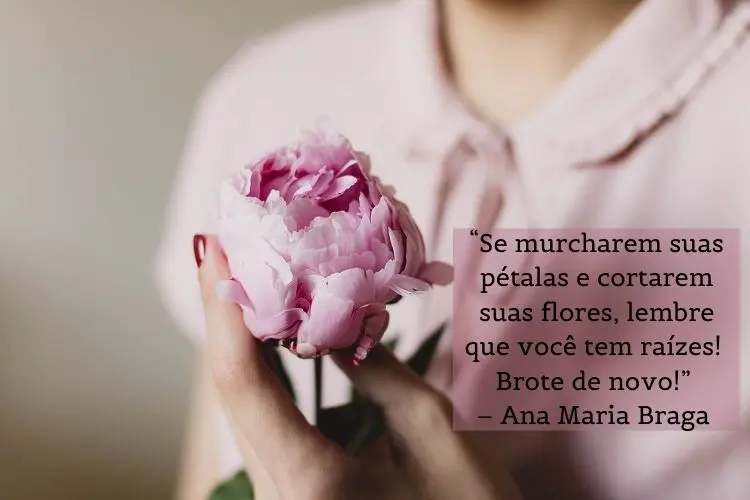 frase Ana Maria Braga