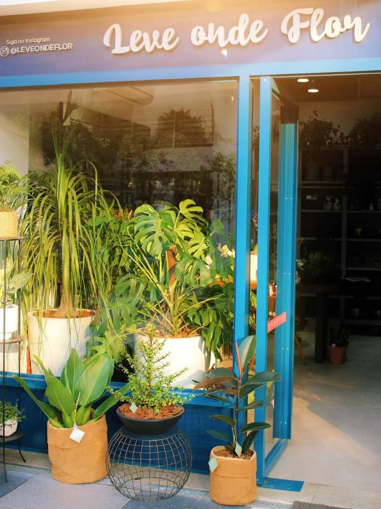 Costela-de-adão em faixada de loja "Leve Onde Flor" com outras plantas em vasos brancos e marrons. 