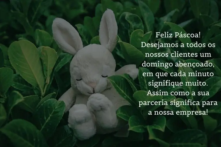 Foto de pelúcia de coelho em jardim e frase:  Feliz Páscoa! Desejamos a todos os nossos clientes um domingo abençoado, em que cada minuto signifique muito. Assim como a sua parceria significa para a nossa empresa