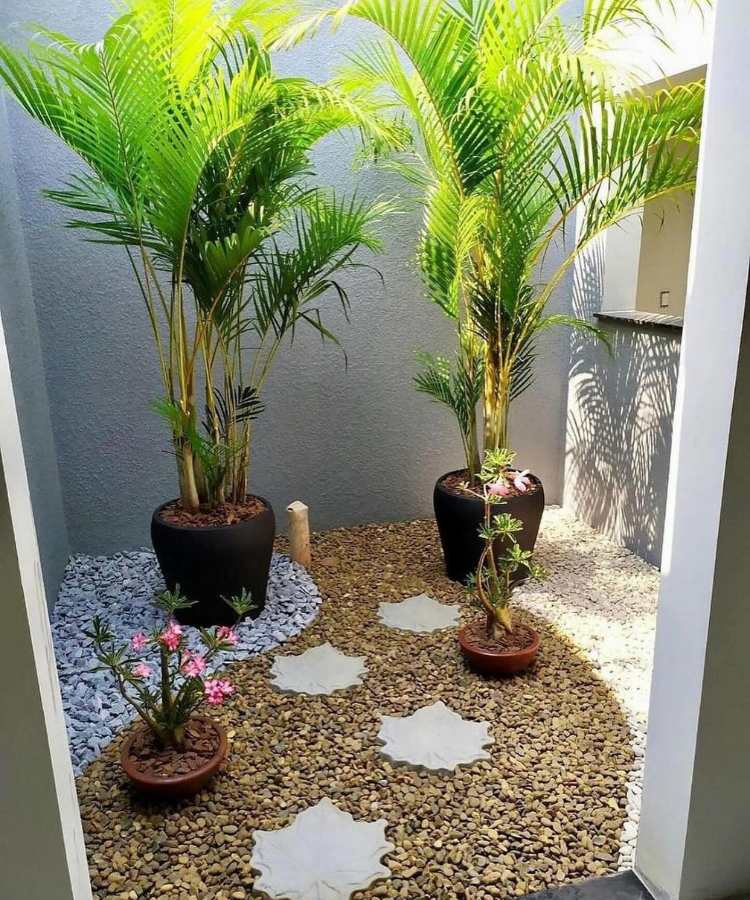 Jardim com pedras decoradas criativas e plantas em casos