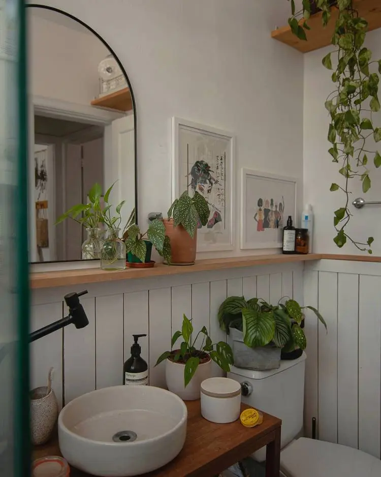 Banheiro com diversas plantas na decoração, quadros e itens de beleza