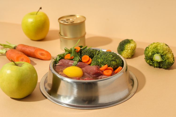 Tigela de aço inoxidável com alimentação natural para cães, contendo carne crua, ovo, brócolis, cenoura e folhas verdes. Ao redor, maçãs, cenouras, latas de comida e brócolis decoram um fundo bege, destacando ingredientes frescos e saudáveis.