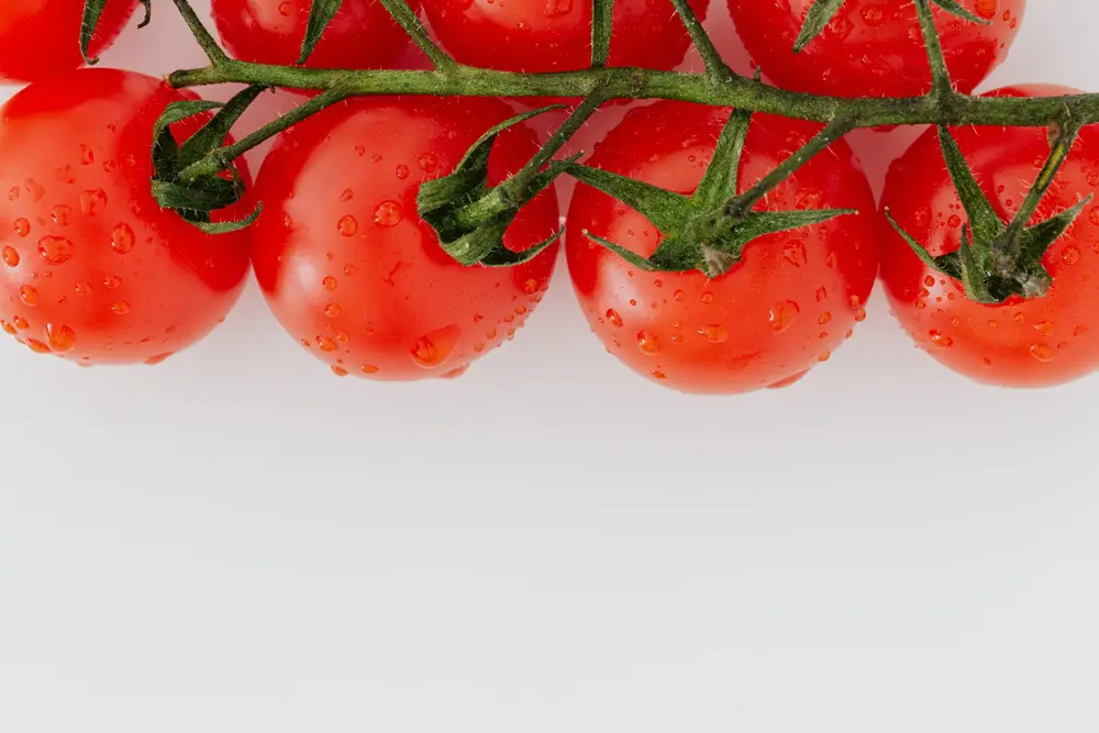 Alimentos antioxidantes