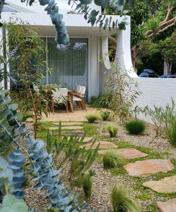 Jardim com pedra São Tomé e plantas diversas