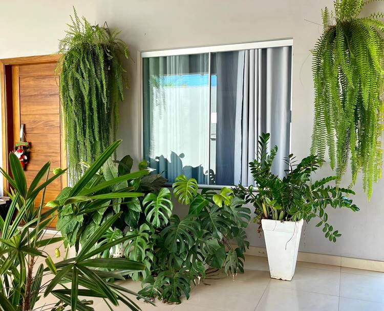 Casa com porta, janela de vidros e plantas decorando a varanda