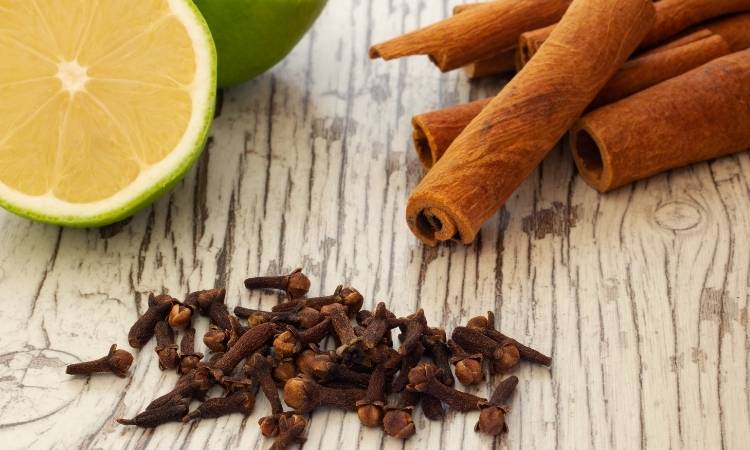 Chás para tosse com limão, cravo e canela.