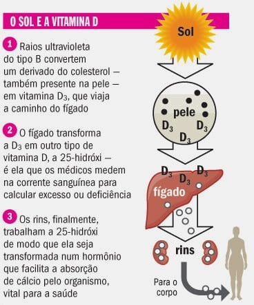 Infográfico cinza e rosa com informações sobre vitamina D e sol. 