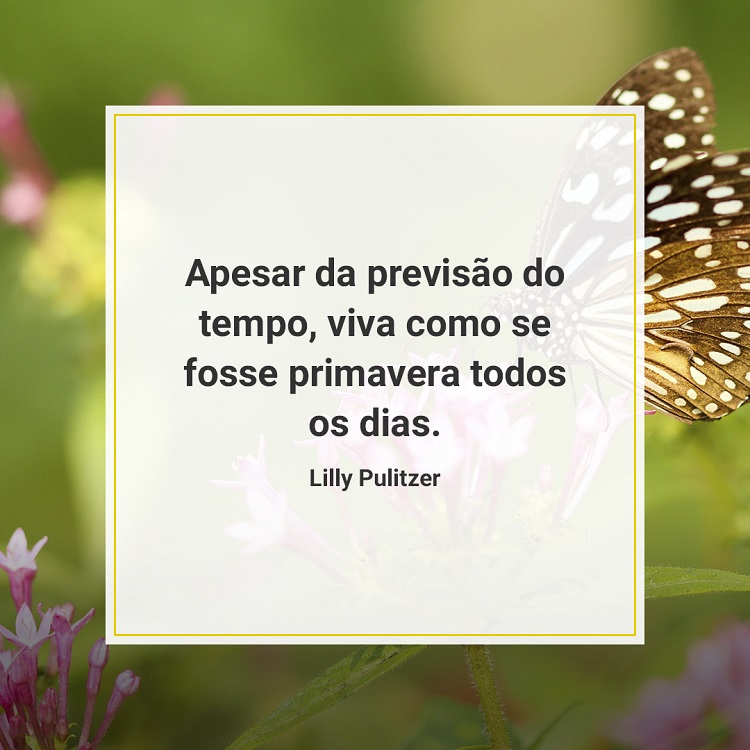 citação sobre a primavera com foto de borboleta ao fundo