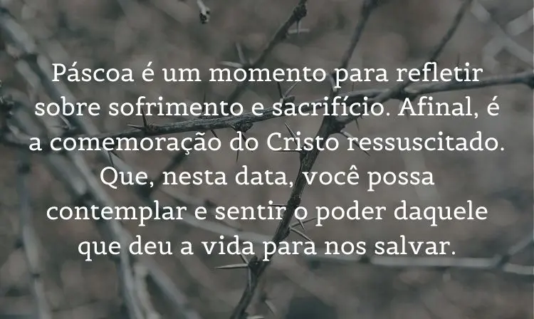 Foto de espinhos e frase: Páscoa é um momento para refletir sobre sofrimento e sacrifício. Afinal, é a comemoração do Cristo ressuscitado. Que, nesta data, você possa contemplar e sentir o poder daquele que deu a vida para nos salvar.
