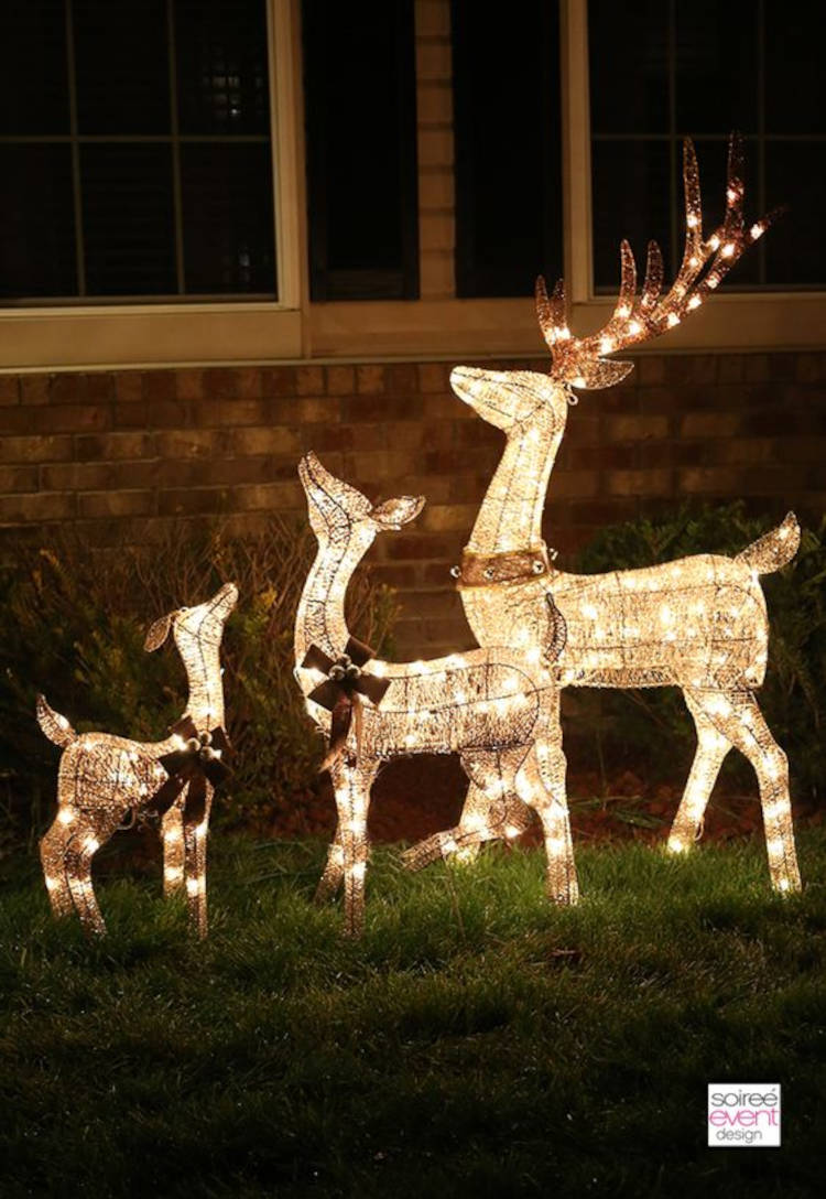 Renas iluminadas no jardim.