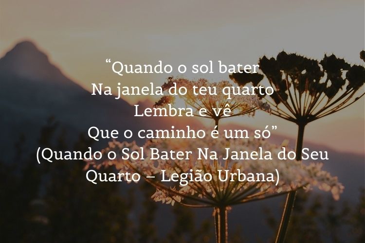 Foto de plantas com sol nascendo ao fundo e frase “Quando o sol bater / Na janela do teu quarto / Lembra e vê / Que o caminho é um só” (Quando o Sol Bater Na Janela do Seu Quarto – Legião Urbana)
