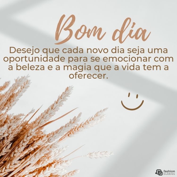 Cartão virtual de fundo claro com foto de planta seca e frase: Desejo que cada novo dia seja uma oportunidade para se emocionar com a beleza e a magia que a vida tem a oferecer. Bom dia!