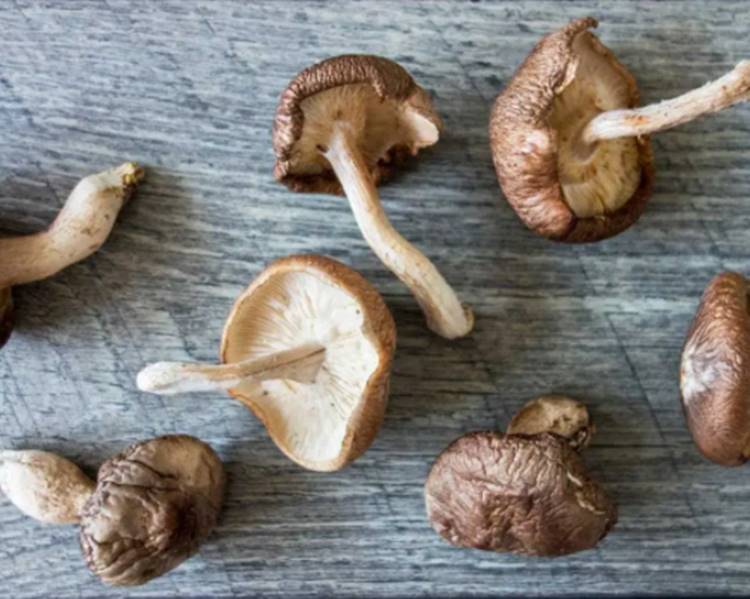 Foto shiitake.