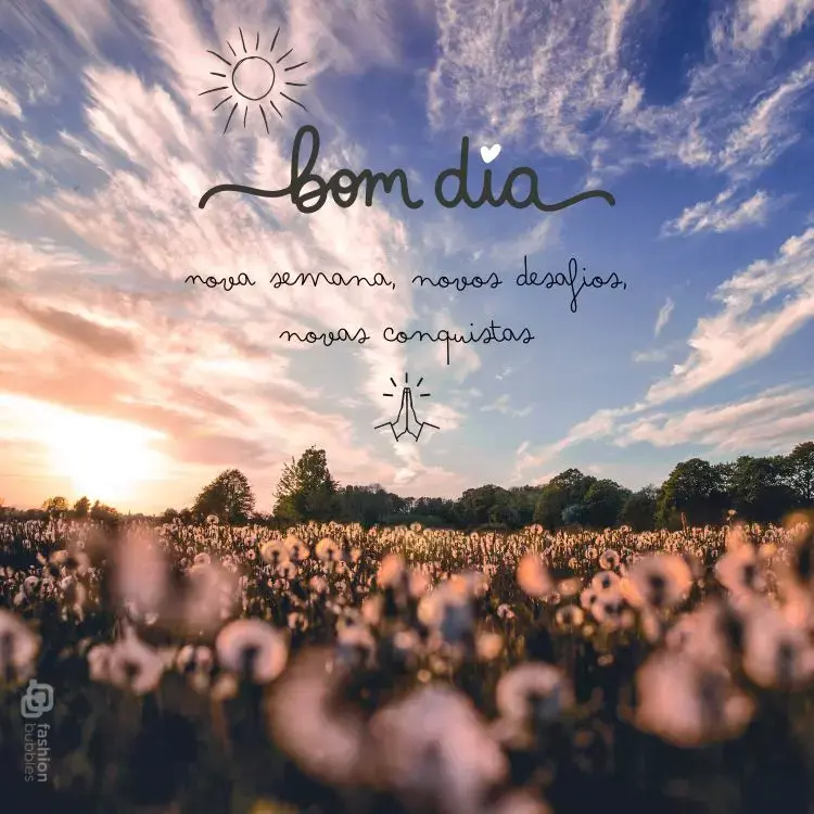 Frase de bom dia escrita em foto de céu com plantação de dente-de-leão