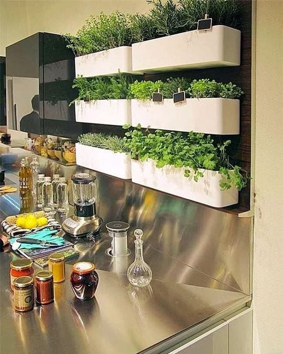 Horta na cozinha