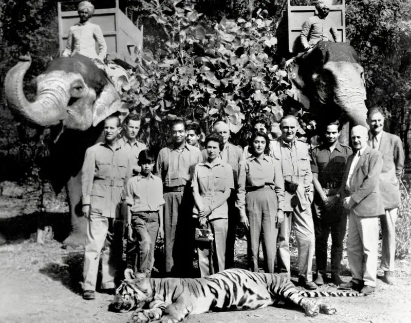 Caça ao tigre.