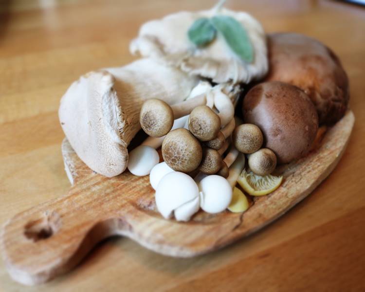 Foto de cogumelos.