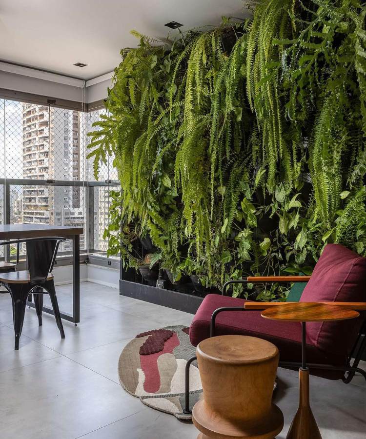 Painel vertical com plantas, incluindo samambaia