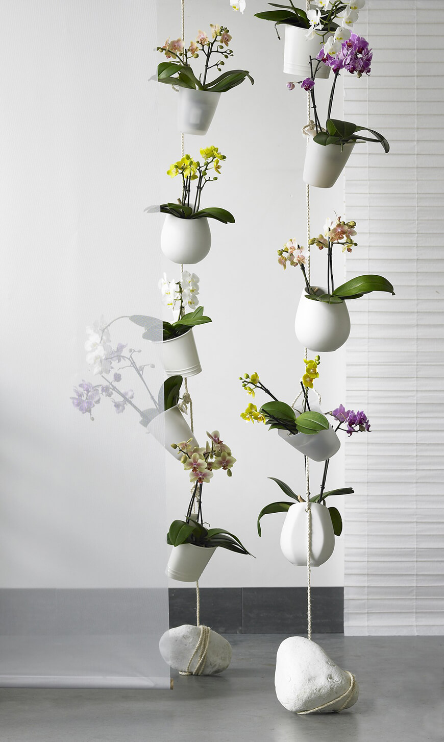 decoracao-paisagismo-flores-como-cuidas-orquideas-studio-lab-decor-7